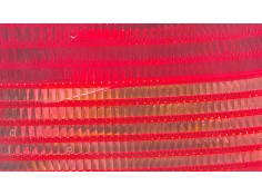 Recambio de piloto trasero derecho para volkswagen bora referencia OEM IAM 1J5945257   2