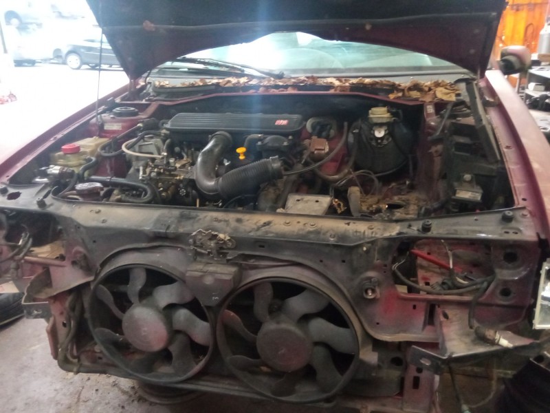 citroën zx del año 1996