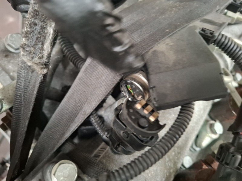 Recambio de motor completo para iveco 35 s18 referencia OEM IAM F1CFL411BS  