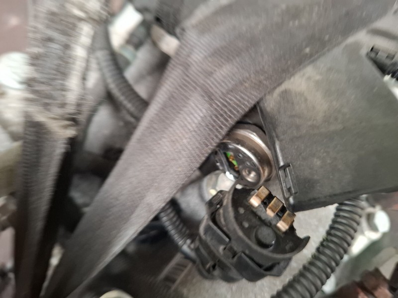 Recambio de motor completo para iveco 35 s18 referencia OEM IAM F1CFL411BS  