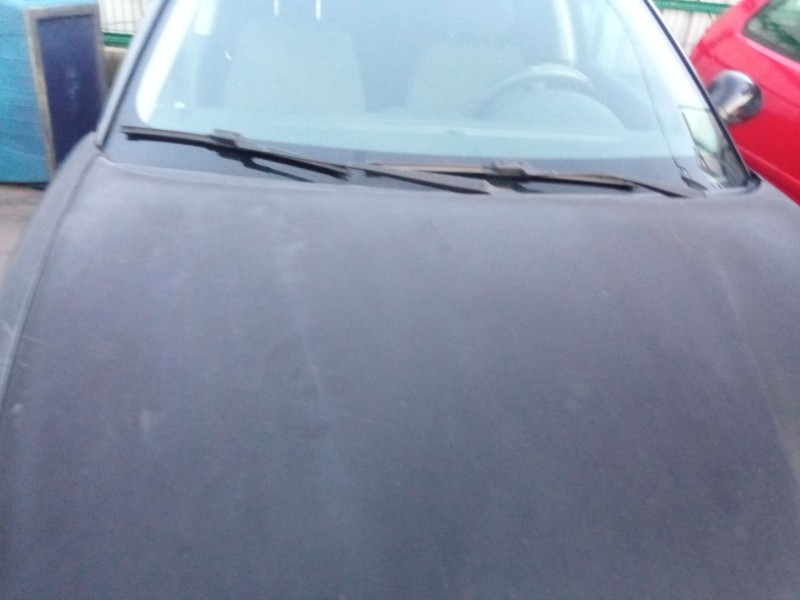 seat ibiza del año 2008