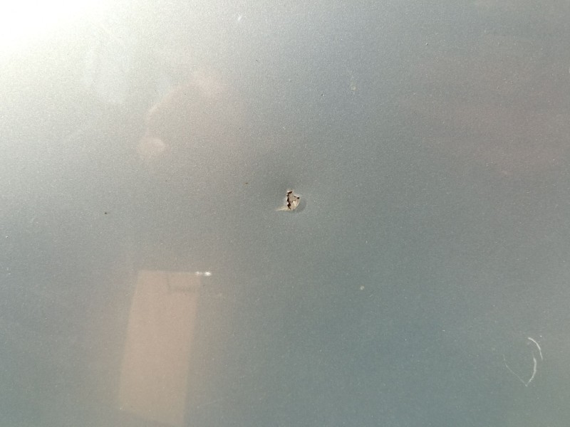 Recambio de capot toledo para seat toledo referencia OEM IAM   