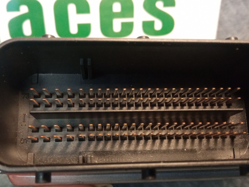 Recambio de centralita motor para bmw x3 (e83) xdrive 20 d referencia OEM IAM 7809999  0281013924