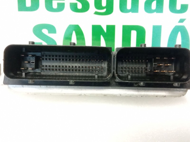 Recambio de centralita motor para seat ibiza iii (6l1) 1.9 tdi referencia OEM IAM 038906019NL  